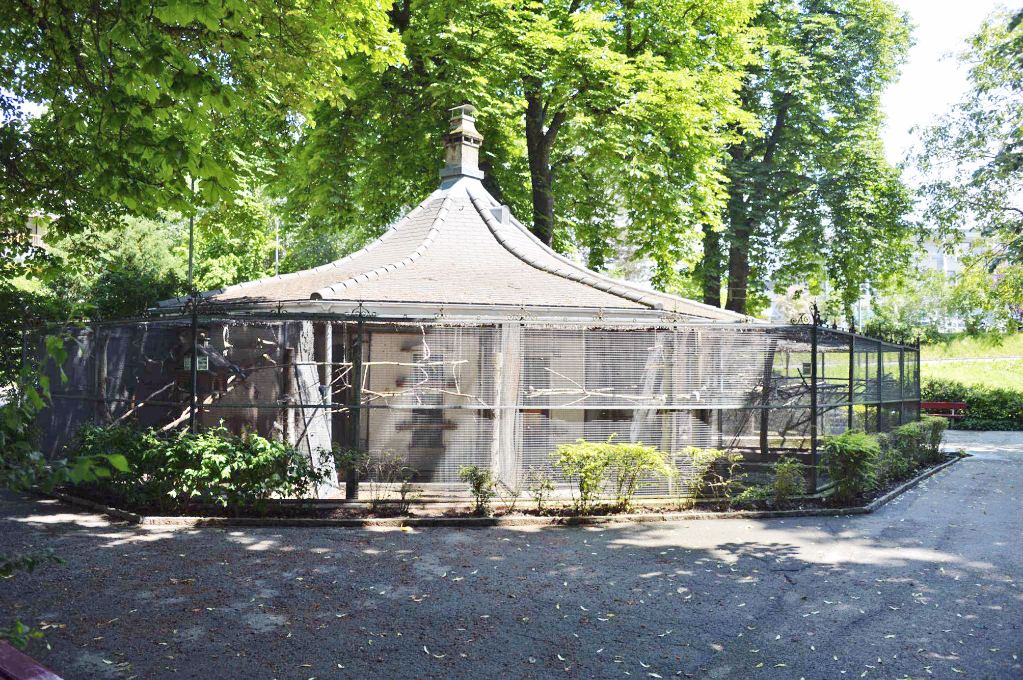 Vogelvoliere Schwäbis, Steffisburg