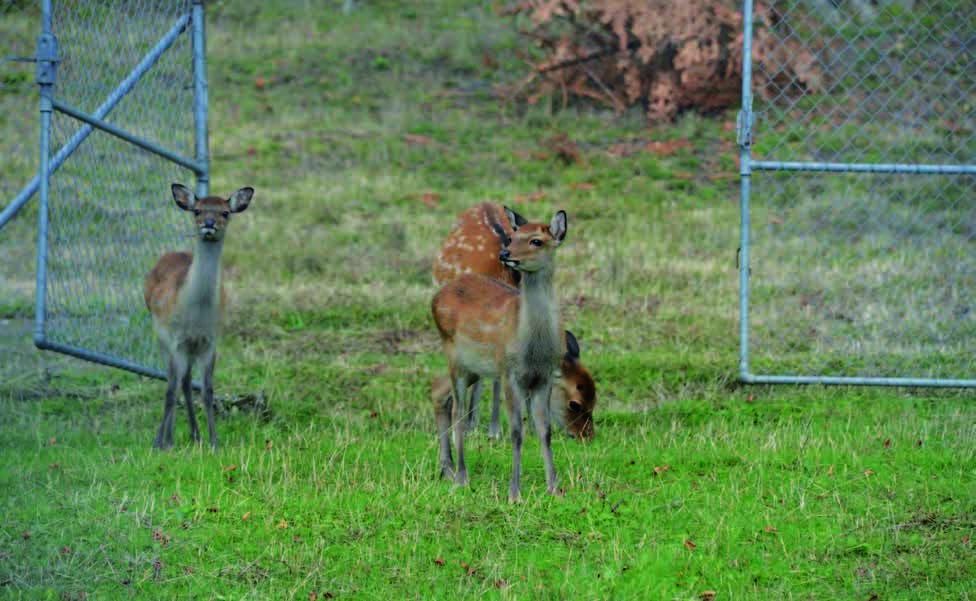 Tierpark Tschugg
