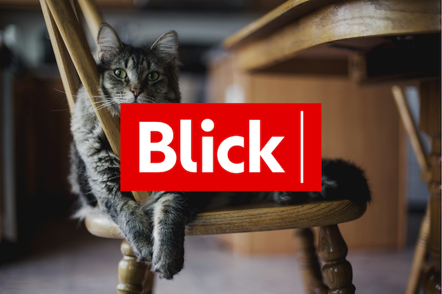 Wird jetzt auch die Kuhweide digital?