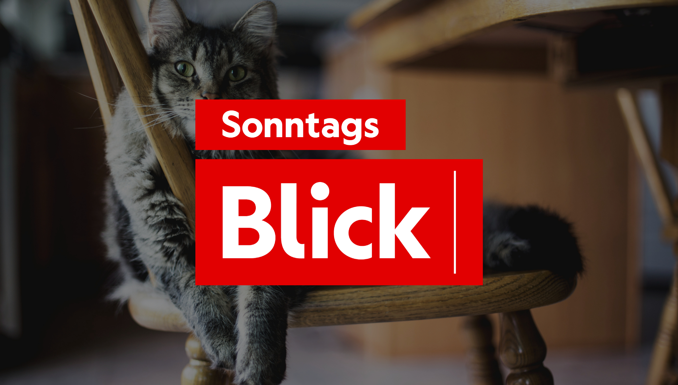 Piero Mazzoleni: «Vertrauen auf allen Ebenen wiederherstellen»