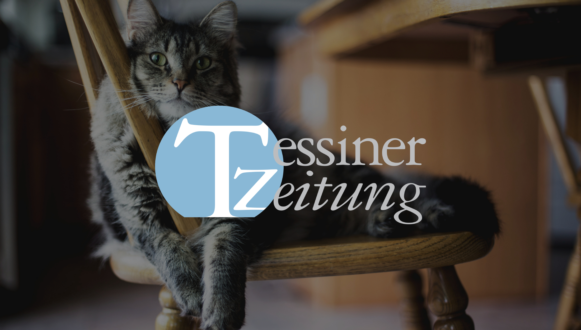 Piero Mazzoleni: «Tiere brauchen Anwälte»