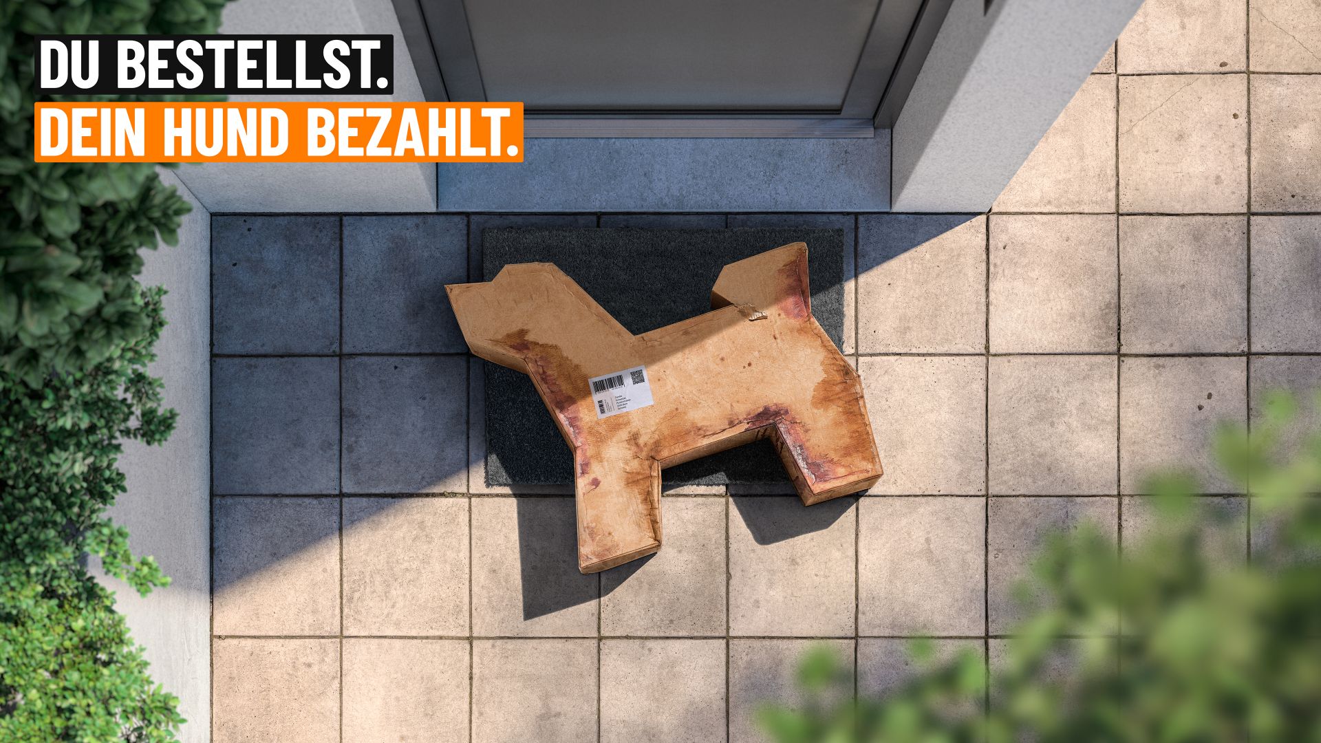 Kampagne gegen Hundehandel im Internet: Den Hund kennenlernen, bevor man ihn kauft 