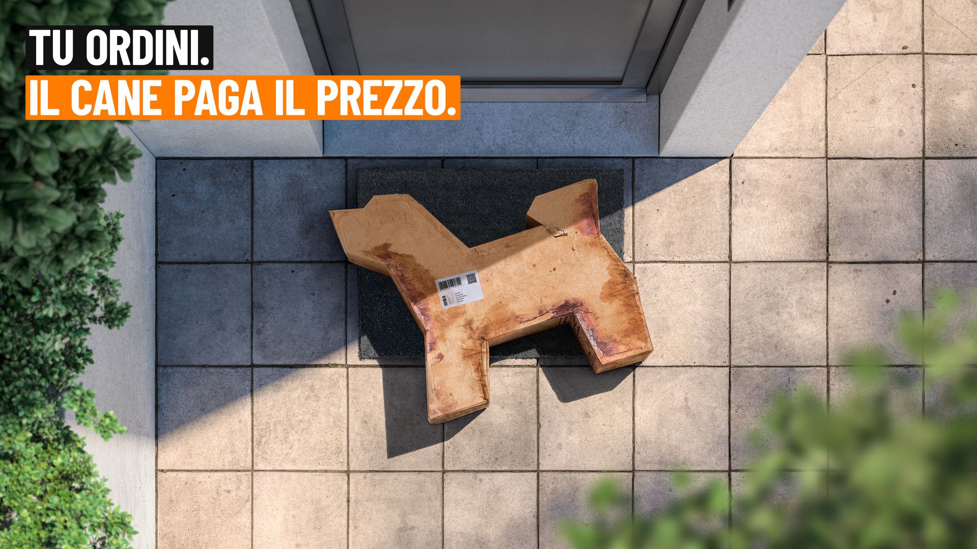 Campagna contro il commercio online di cani: conoscere il cane prima di acquistarlo